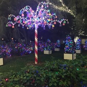 Meet your Posher, Janci